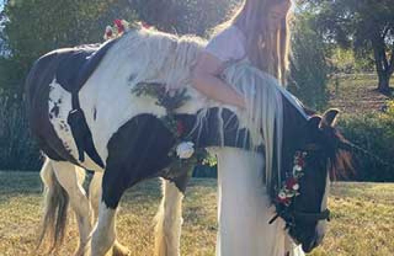 Horse Haven Trails