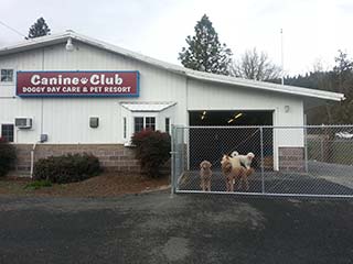 Canine Club