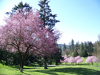 Hillcrest Memorial Park