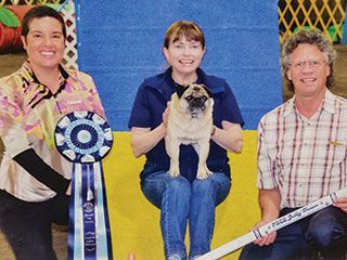 Home Away Pet Spa