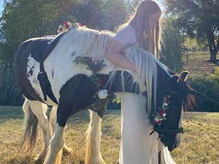Horse Haven Trails