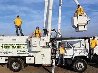 Southern Oregon Tree Care