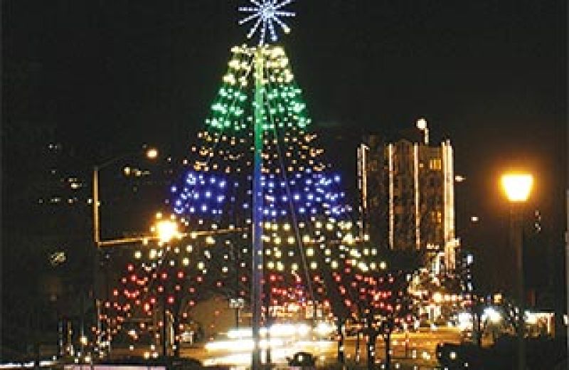 Lights for Life Tree