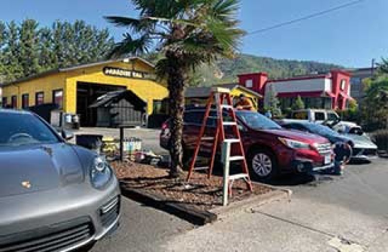 Paradise Car Wash