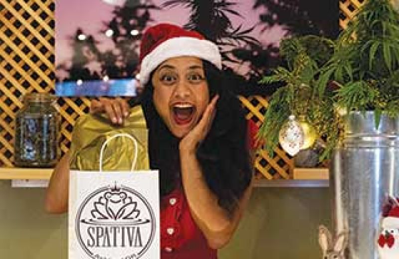 Countryside Village Retirement