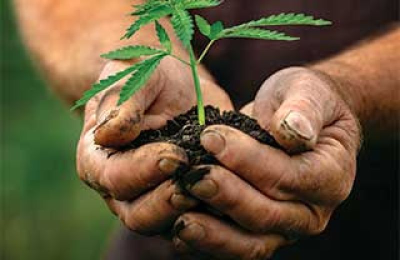 Countryside Village Retirement