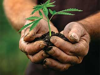 Countryside Village Retirement