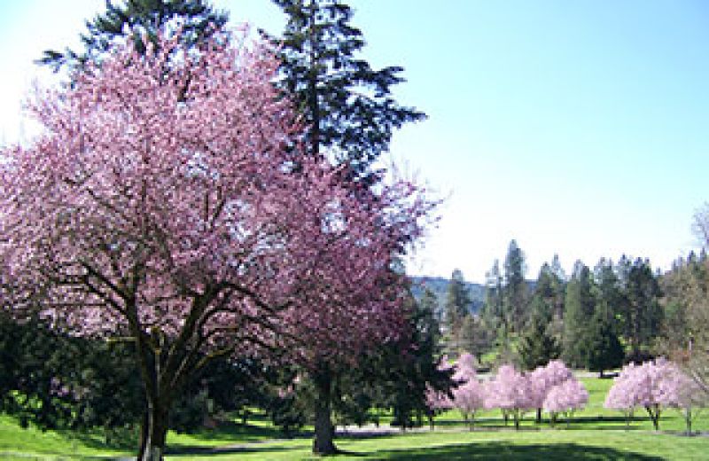 Hillcrest Memorial Park