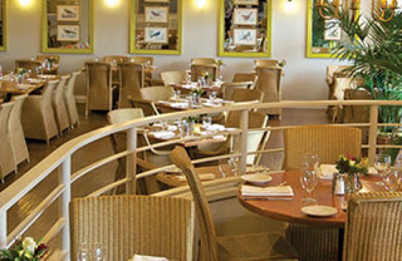 Larks Home Kitchen Cuisine