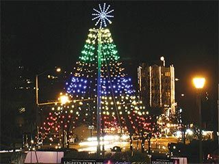 Lights for Life Tree