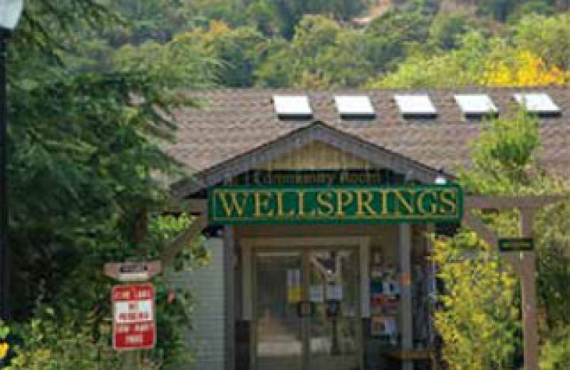 Jackson WellSprings