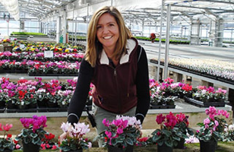 Ashland Greenhouses